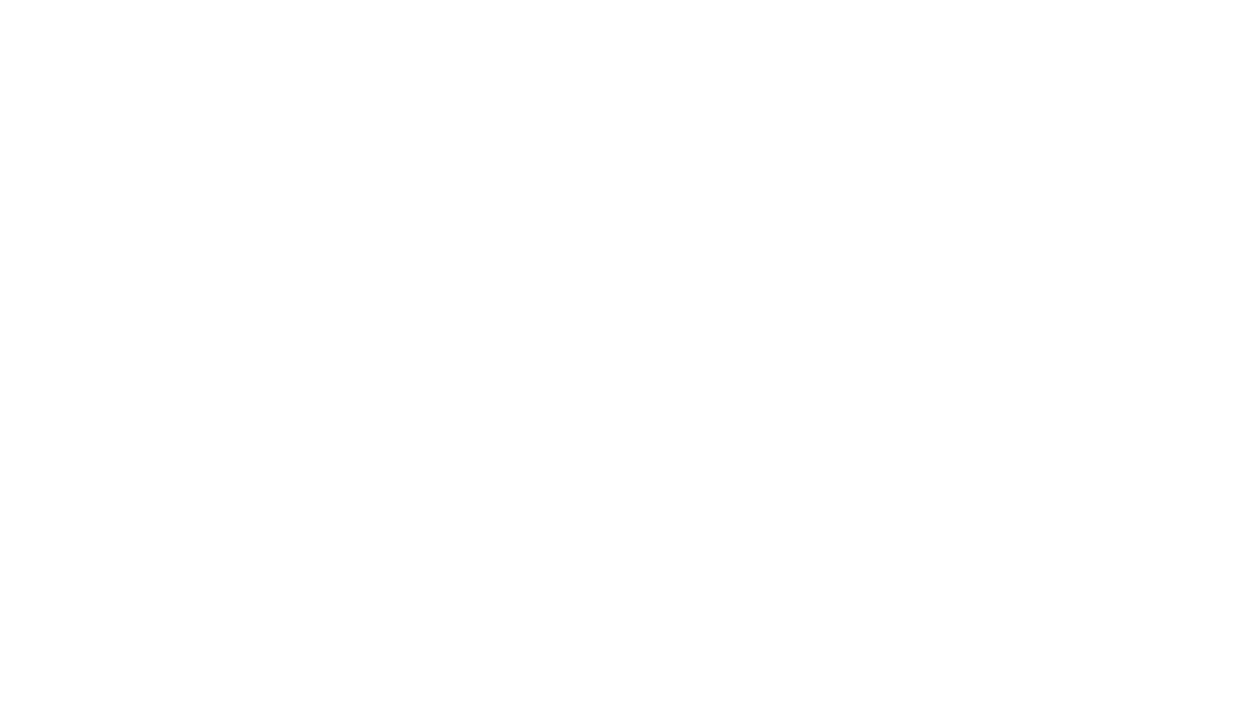Leo Wild — Website in Arbeit
