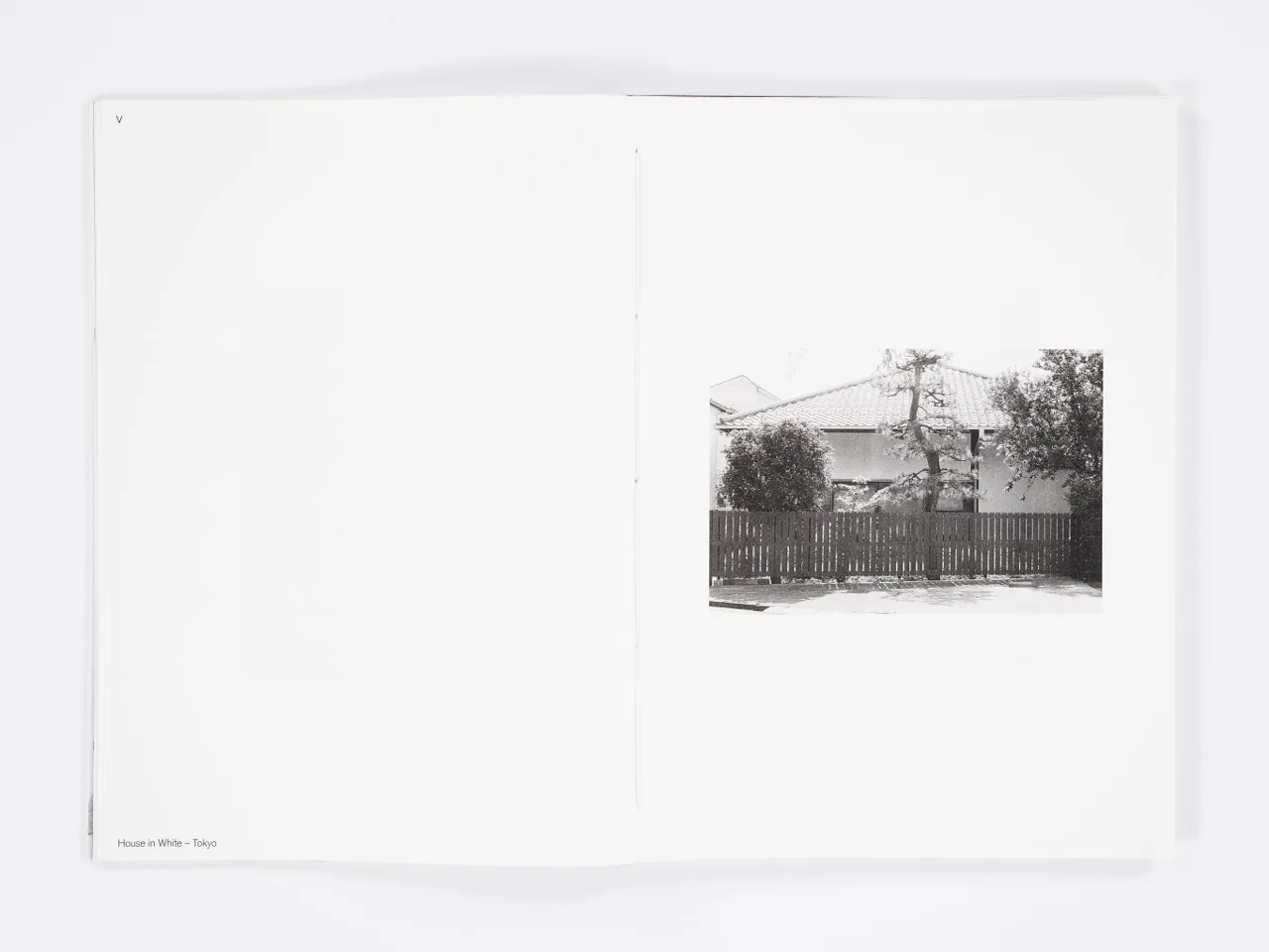 XVI Houses by Kazuo Shinohara gallery image