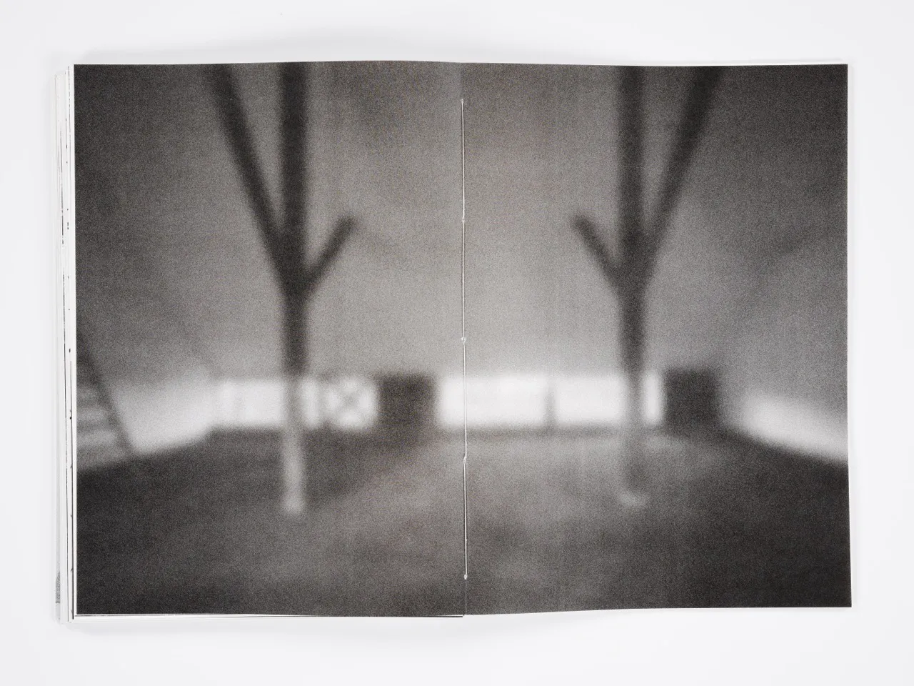 XVI Houses by Kazuo Shinohara gallery image